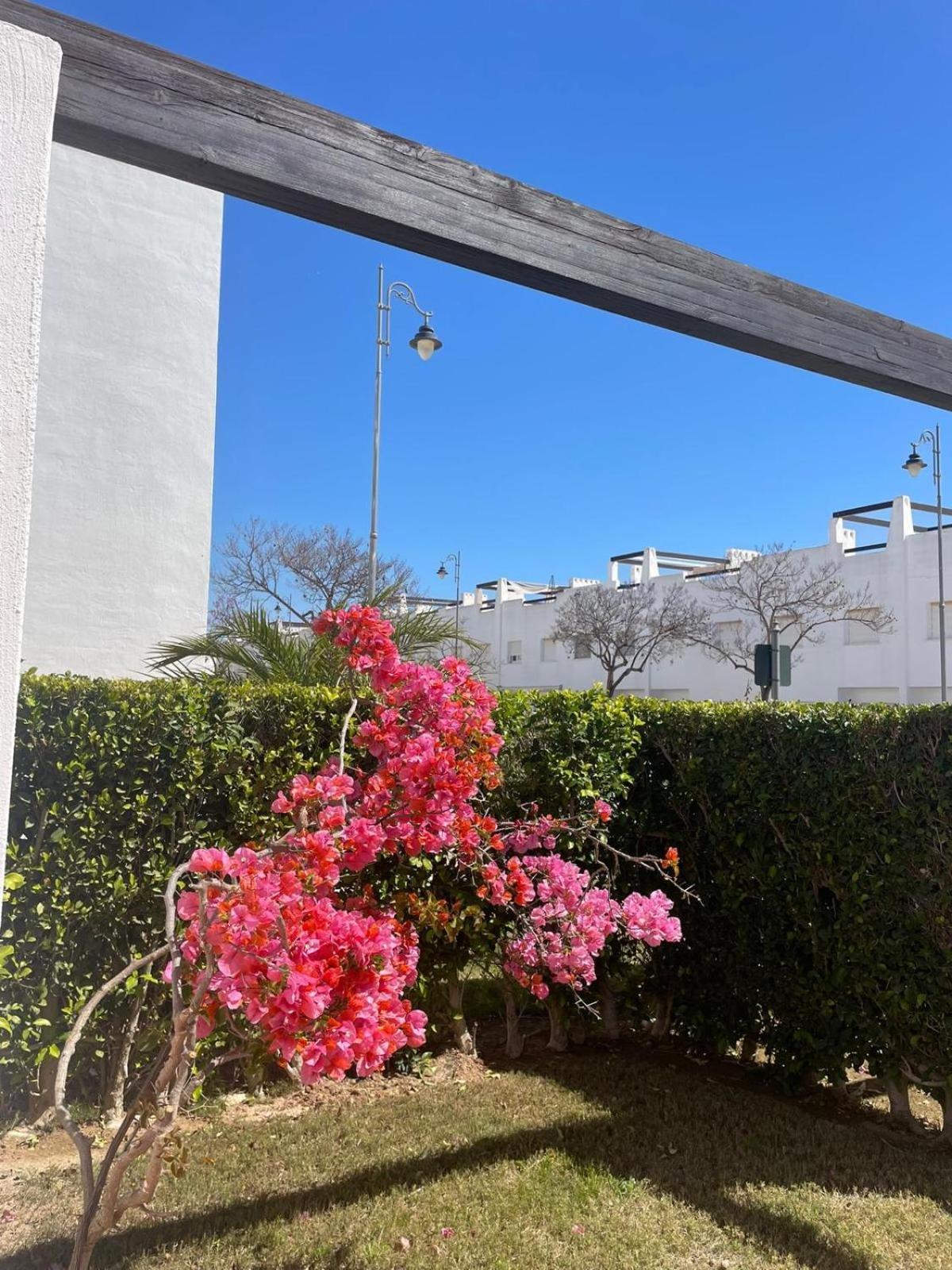 Casa Luisa Jardin 10 Condado De Alhama Apartment Алама де Мурсия Екстериор снимка